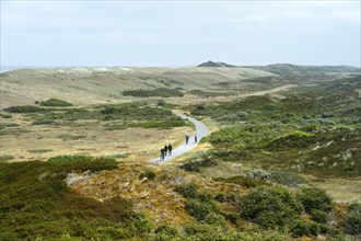 Pirolatal dune area cycling and hiking trail, North Sea island of Langeoog, East Frisian Islands,