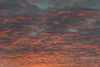 Sunset, evening sky, sky on fire, red illuminated clouds, background, Netherlands