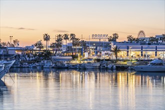 Fishing boats and excursion boats in the harbour of Agia Napa at dusk, Cyprus, Europe