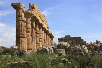 Selinunte, remains of the temples of the acropolis in the archaeological site of Selinunte, Trapani