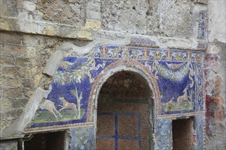 The House of Neptune and Amphitrite in the ruined city of Herculaneum, Campania, Italy, Europe