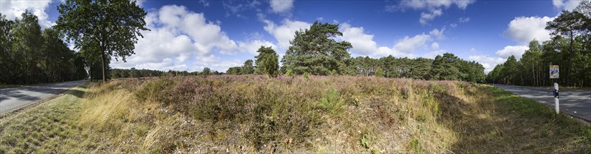 270 degree panorama of a heath landscape with federal road near Schneverdingen, Heidekreis, Lower