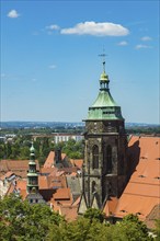 View from Sonnenstein Fortress over St. Mary's Church to the Old Town