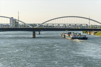 The Rhine between Strasbourg and Kehl seen from the garden of the two banks. Bas-Rhin, Collectivite