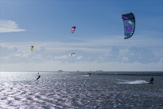 Kitesurfing on the North Sea, Lüttmoorsiel, Reußenköge, on the horizon Hallig Nordstrandischmoor,