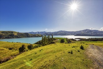 Bucht, Landschaft, Banks Peninsula, Canterbury, Neuseeland