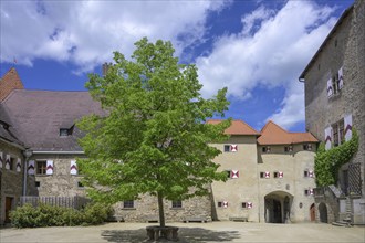 Inner courtyard castle, Heidenreichstein, Lower Austria, Austria, Europe