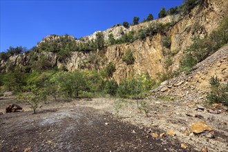 Disused Vatter porphyry quarry, Dossenheim, Baden-Württemberg, Germany, Europe