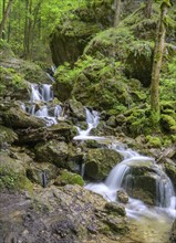 Small waterfalls in the Nove Diery gorge, Terchová, Žilinský kraj, Slovakia, Europe