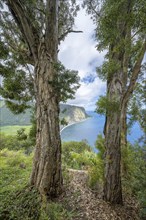 Waipi'o Valley seen from Waipi'o Valley Lookout, Big Island, Hawaii, USA, North America