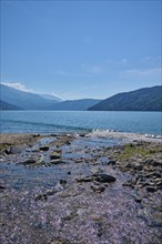 Lake, water, sun, sparkles, summer, Lake Millstatt, Millstatt, Carinthia, Austria, Europe