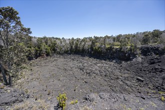 Lava rock at Luamanu Crater, Chain of Craters Road, Hawaii Volcanoes National Park, Big Island,