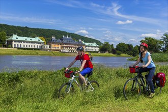 Elbe Cycle Route in Dresden