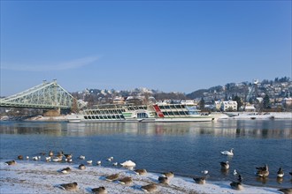 Winter at the blauen Wunder