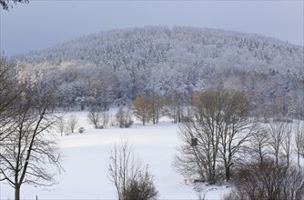 Winter landscape, Saxony, Upper Lusatia, Germany, Europe