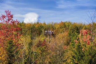 The Forest Botanical Garden Tharandt is an institution of the Technical University of Dresden and