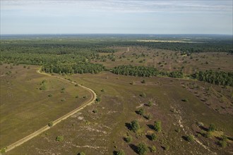 Aerial view of the Osterheide during the heath blossom in the Lüneburg Heath. Schneverdingen, Lower