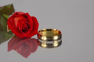 Golden ring and red rose on the black glass with reflection, AI generated