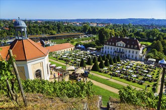 Wackerbarth Castle or Wackerbarths Ruh is a Baroque castle surrounded by vineyards in the