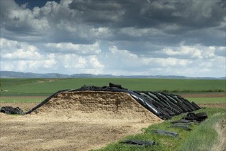 Silage silo. Puy de Dome department. Auvergne Rhone Alpes. France