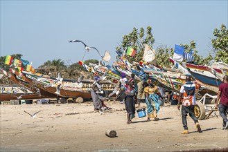 Fishermen's wives with fishing boats on the beach of Sanyang, Gambia, West Africa, Africa