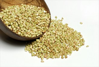 Buckwheat (Fagopyrum esculentum), husked, husk