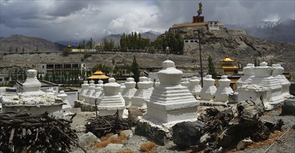 Diskit Nubra Valley