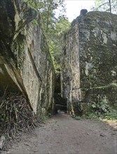 Ruins of the Wolf's Lair (also Wolf's Lair or Görlitz), the military situation centre of the