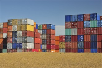 Stacked containers