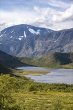 Barren mountain landscape with lake and birch trees, lake Leirungen nedre, Fjell, Øystre Slidre,