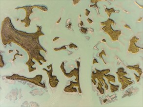 Patches of land appear while the tide is going out, in the marshland of the Bahía de Cádiz, aerial