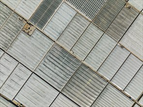 Masses of shimmering plastic greenhouses near El Ejido, aerial view, drone shot, Almería province,