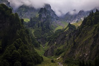 Fog-covered mountains of the Allgäu Alps, Oytal, near Oberstdorf, Oberallgäu, Allgäu, Bavaria,