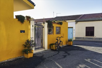 Potted plants and bicycle in front of a yellow house facade, Cabras, Oristano, Western Sardinia,