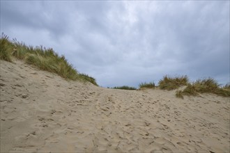 Sand dune, Sea, Marram Grass, Clouds, Zandvoort, North Sea, North Holland, Netherlands