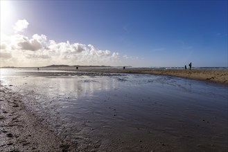 Beach of the nature reserve Het Zwin at the North Sea between Belgium and the Netherlands