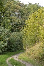 Footpath near Upper Beeding, South Downs, West Sussex, England, Great Britain