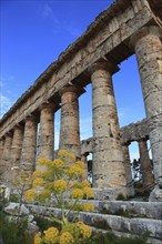 Temple of Hera, Temple of Hera in the former ancient city of Segesta, the province of Trapani,