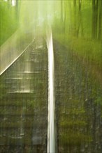 Railway tracks on gravel bed glow in the sunlight, deciduous forest in spring, copper beeches