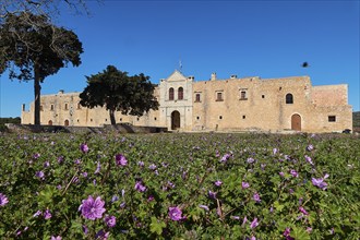 Wide angle, main side, gate entrance, trees, spring meadow, purple flowers, fortress-like walls,