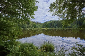 Forest lake, reflection, sky, clouds, summer, Tauern pond, Ossiach, Carinthia, Austria, Europe