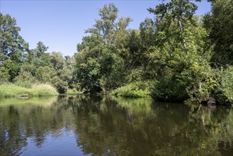 River landscape of the Thaya in late summer, Czech Republic, Europe