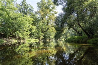 River landscape of the Thaya in late summer, Czech Republic, Europe