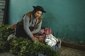 Woman selling herbs, Mercado Artesanal, Huancayo, Peru, South America