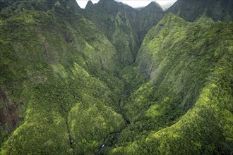 Aerial view Hanalei Valley, Kauai, Hawaii, USA, North America