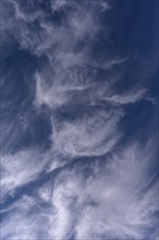 Feather clouds (Cirrus), Bavaria, Germany, Europe