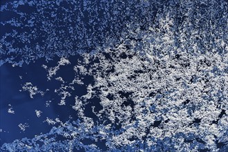 Illuminated frost, hoarfrost, ice crystals on glass, window pane of a flat in winter, symbol image,