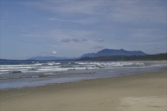 Endless empty sandy beach with swell and mountains in the background, Long Beach, Pacific Rim