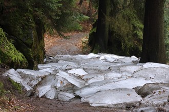 Ice floes on a hiking trail in Saxon Switzerland, Saxon Switzerland, Elbe Sandstone Mountains,