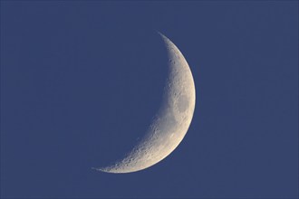 Crescent moon, waning moon, Flusslandschaft Peenetal nature park Park, Mecklenburg-Western